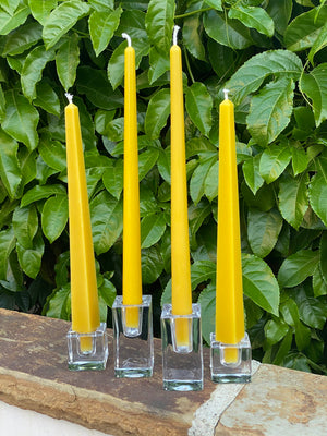 Obelisk Beeswax Taper Candles